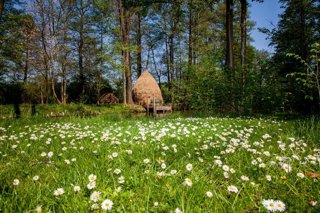 Hotel Zum Stern Spreewald Werben  Extérieur photo